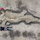 FS Discovery of 180 Million Year Old Sea Dragon Fossil Is the Largest and Most Complete Ever in the UK