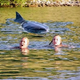 son.Adventurous and Terrified Swimmers After Close Encounter with Australian Great White Shark (Video). ‎