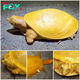f.Noteworthy is the extremely rare bright yellow turtle in India.f