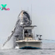 LS ”Rare Footage Captures a Massive Humpback Whale Breaching Beside a Fishing Boat”