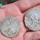 Metal detectorists unearth 300-year-old coin stash hidden by legendary Polish con man