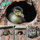 Duckling Gets Raised By An Owl And The Photos Are Adorable