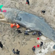 SAO.20-Hour Rescue Mission Saves the Life of a 10-Ton Stranded Whale..SAO