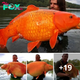 Lamz.Why You Shouldn’t Abandon Your Pets: Record-Breaking Giant Goldfish Weighs in at 50 kg
