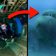 LS ”Breaking News: Mysterious Missing Plane with Intact Pilot’s Skeleton Found 1,000 Meters Underwater”