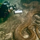 SN Unexpected Find: US Divers Discover 375-Foot Giant Serpent Hidden Under Mississippi Riverbed