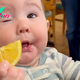 kp6.Let’s see the funny moments and expressions of a baby in the United States when he first tasted lemon, making everyone laugh with joy.