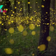 How do fireflies light up?