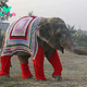 kp6.A Stitch of Kindness: Villagers Knit Hand-Woven Sweaters to Warm Rescued Elephants.