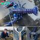 Lamz.British Fisherman Stunned by Rare ‘One in 2 Million’ Blue Lobster Catch, Swiftly Chooses to Release It