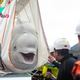 nht.Two beluga whales moved to a marine sanctuary in Iceland.