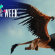 Share of the Week: Legendary – PlayStation.Weblog