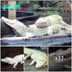 The rare appearance of a giant albino crocodile surprises experts for its survival