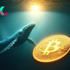 Whales Push Bitcoin Into Narrow Range: What To Expect Next 