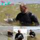 A Heartwarming Story of Human-Dolphin Connection: One Man’s Journey to Save an Orphaned Calf” – a touching narrative of compassion and dedication bridging the gap between species