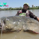 nht.Breaking News: Angler reels in colossal 9ft 4¼in river monster in Italy after an epic 43-minute battle, shattering world records.