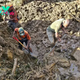 Papua New Guinea Authorities Fear a Second Landslide and Disease Outbreak