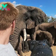 kp6.Wildlife Photographer’s Nerve-Wracking eпсoᴜпteг with Elephants in South Africa.