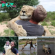 “Grateful hug”: A lion cub abandoned at birth becomes man’s best friend