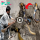 The man noticed peculiar trails of enigmatic snakes on the wall, prompting his intuition to urge him to take a closer look… (Video).sena