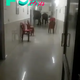 kp6.”Elephants on a Stroll: Unbelievable Hospital Corridor Encounter in Bengal Goes Viral”