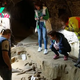 'Archaeological sensation': Winemaker discovers hundreds of mammoth bones while renovating his cellar