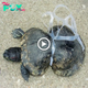 A fisherman’s emotions when rescuing a turtle from the water, after it had been entangled in a ріeсe of discarded plastic for years, which had gradually split its body into two parts.sena