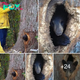 This bear crawled into the tree trunk through a tiny hole and got ѕtᴜсk
