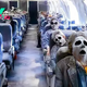 LS LS ”Shocking News: The Flight That Reappeared After 35 Years – With 92 Skeletons Onboard.”