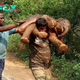 kp6.Heartwarming Act of Kindness: Man Carries Orphaned Baby Elephant, Inspiring Animal Lovers Everywhere.