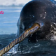 LS LS ”Narwhals Can ‘See’ Unlike Any Other Animal on Earth”