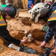 B83.Historic treasure unearthed: Glass bottle of cherries dating back to the 18th century, found at Mount Vernon in Washington, deemed “edible.”