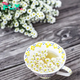 The Benefits of Chamomile Tea for Mind, Body, and Soul