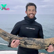 Diver Says He Has Found a Large Section of Mastodon Tusk Off Florida Coast