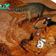 B83.Unveiling History: Fossil Hunters Unearth ‘Rosetta Stone’ Dinosaur Skeleton in Australia’s Ancient Sea