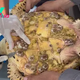 f.Footage shows sea turtles being protected from the dangers of barnacles in an unprecedented operation.f