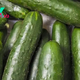 Salmonella outbreak tied to cucumbers sickens 162