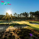 2024 US Open (Golf): History, Players, Schedule and Prize Money