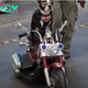 Biker Heroically Rescues Abused Dog on Busy Highway, Gaining a Loyal Co-Pilot and Friend for Life