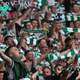 Celtic Apply to Add Second Safe-standing Section to Paradise