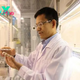 Scientists in China unlock insect smell secrets for safe pesticides