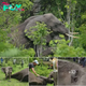 Heartwarming Elephant Rescue: Baby’s Courageous Aid Leads to Emotional Reunion with Mother.hanh