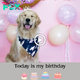 The entire family sang “Happy Birthday” together, and Munian joyfully wagged his tail nonstop.sena