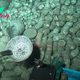 Ming dynasty shipwrecks hide a treasure trove of artifacts in the South China Sea, excavation reveals
