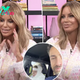 Caroline Stanbury pokes fun at husband Sergio Carrallo for crying after her facelift