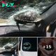 Unusual accident: Turtle crashes through car window and nearly decapitates passenger