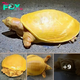 Extremely rare albino turtle found, immediately compared to cheese