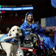 The video captured the touching moment when the dog was awarded a diploma, recognizing the special achievement in helping its owner be accepted into university with excellent results and recognition.