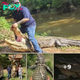 13-foot-long, 680-pound alligator finally captured after 20 years