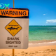 Lifeguard Dies After Being Attacked by Shark While Surfing in Hawaii